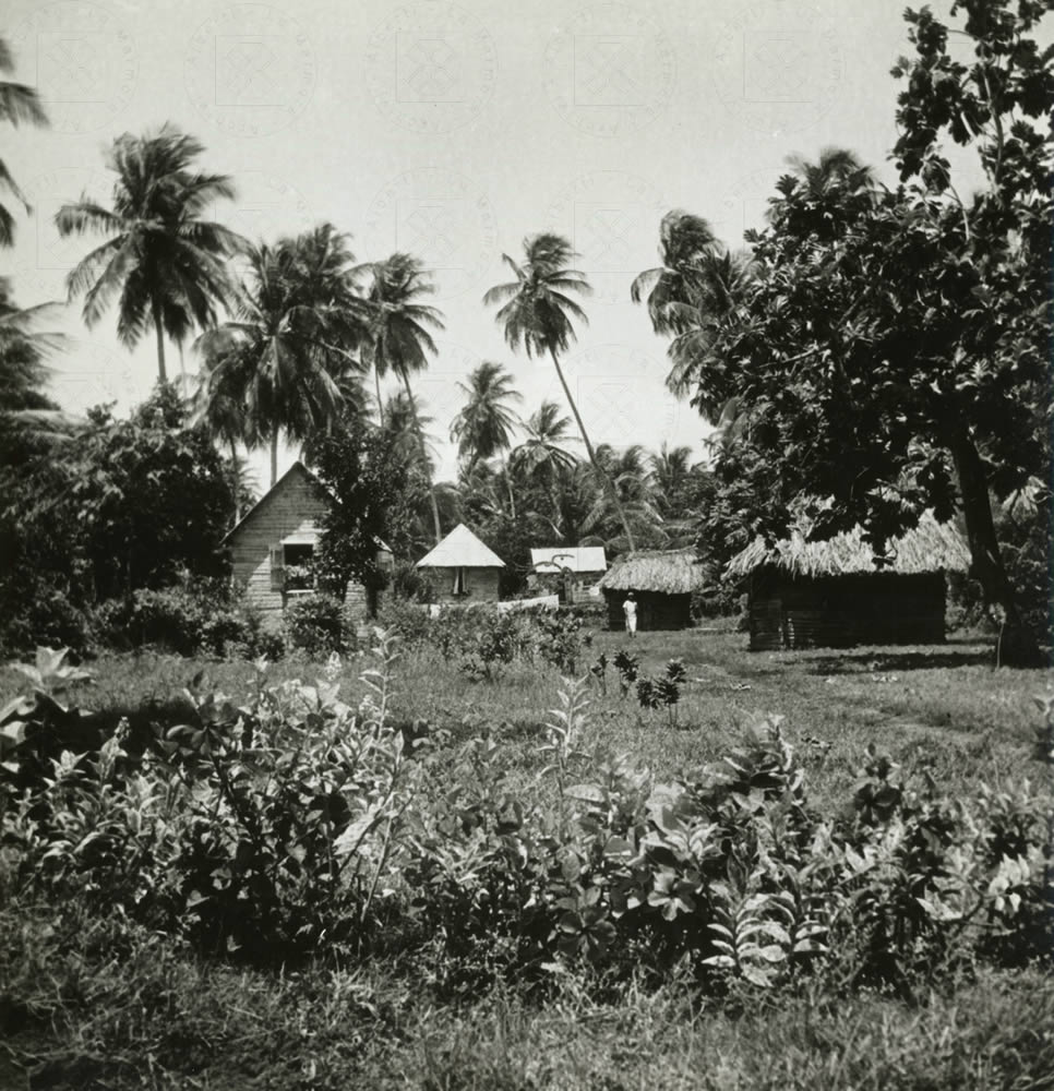 Isola di St Kitts, maggio 1938